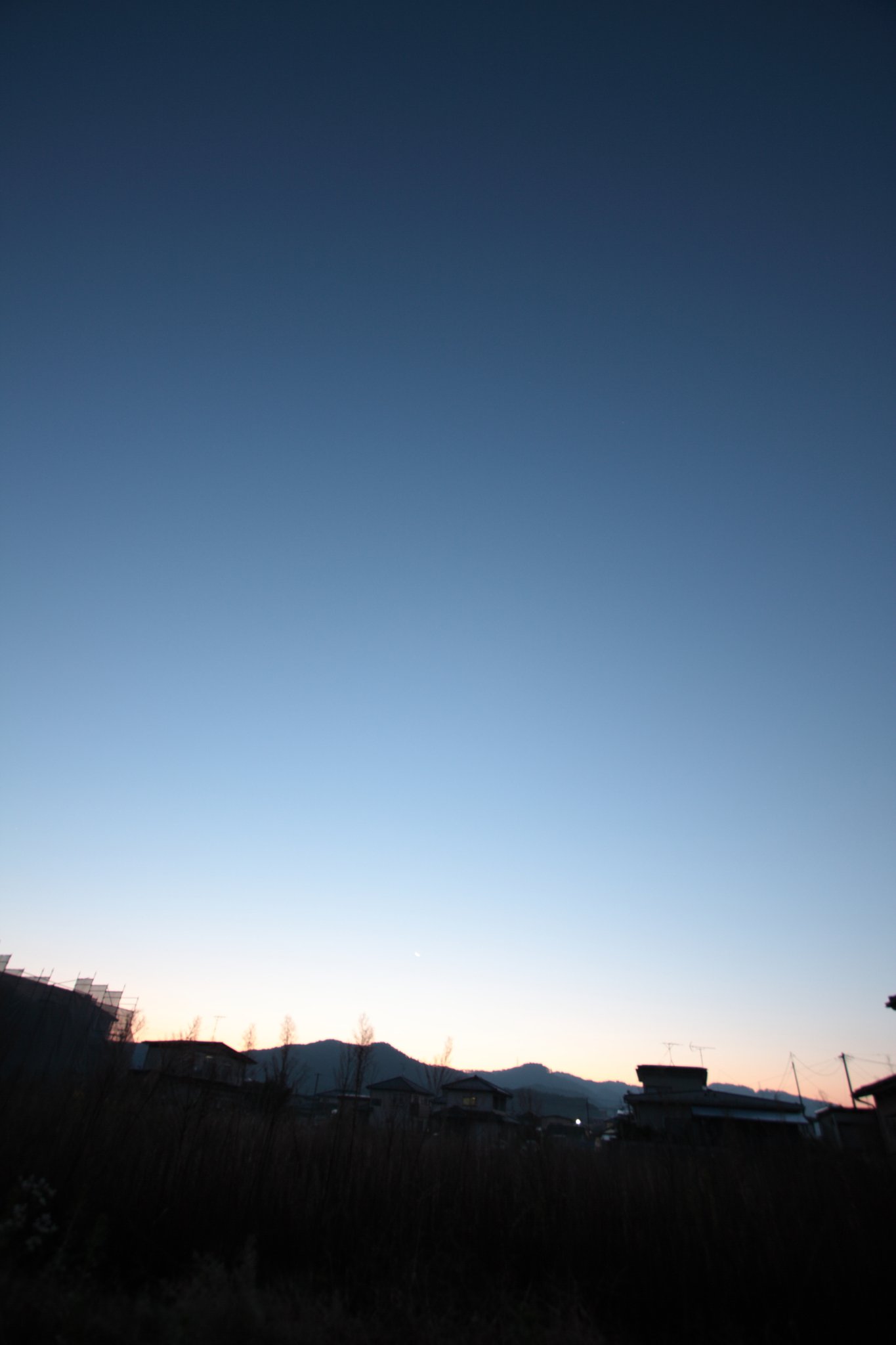 朝