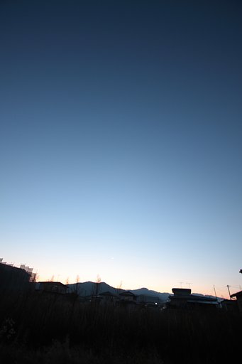 朝