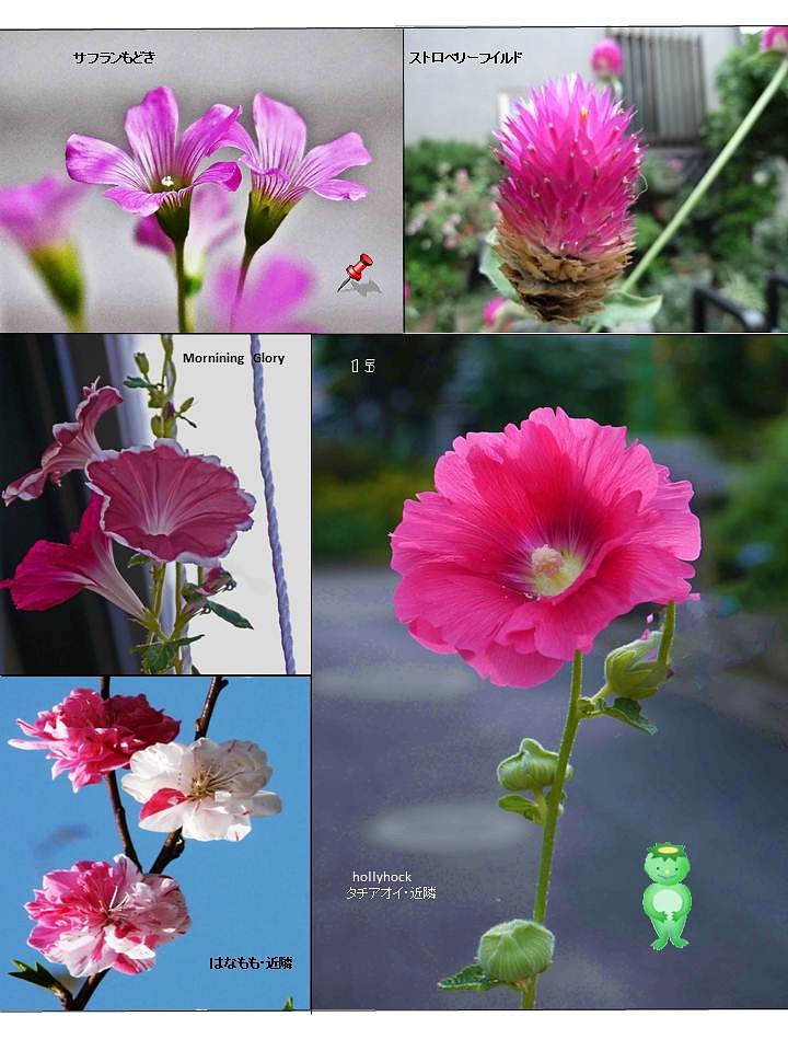 　　　春の「花・花」