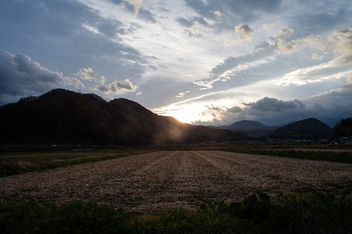 雨がバラバラ降っている晴れ。