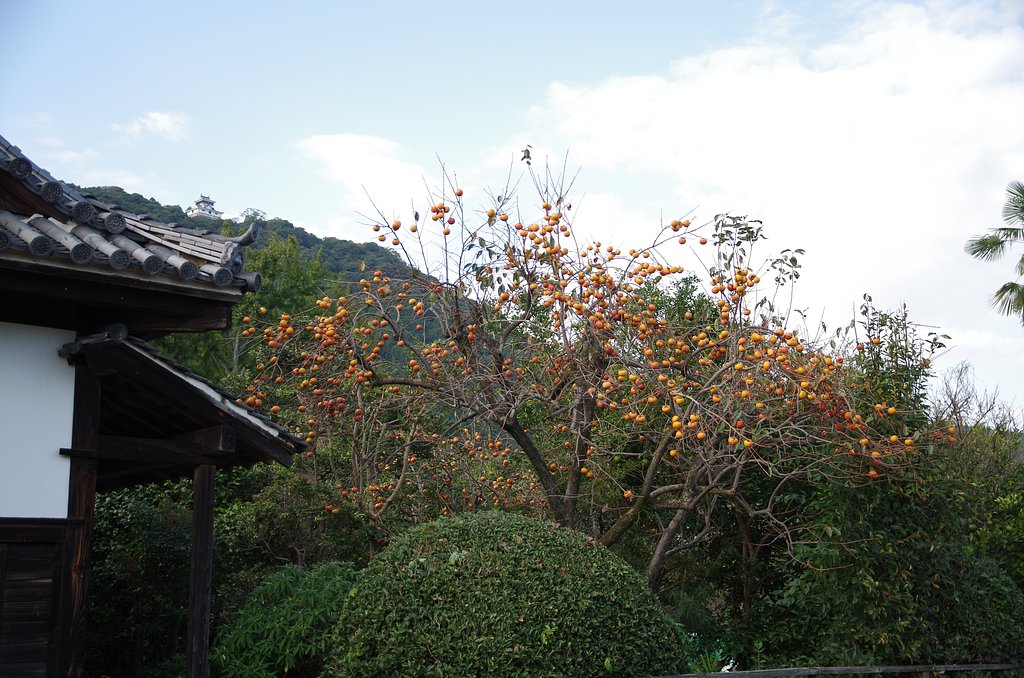 財産