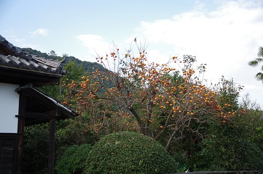財産