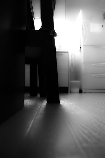 ねこの目線