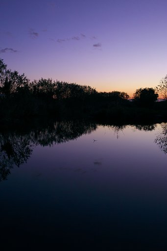 twilight