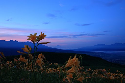 opening　blue