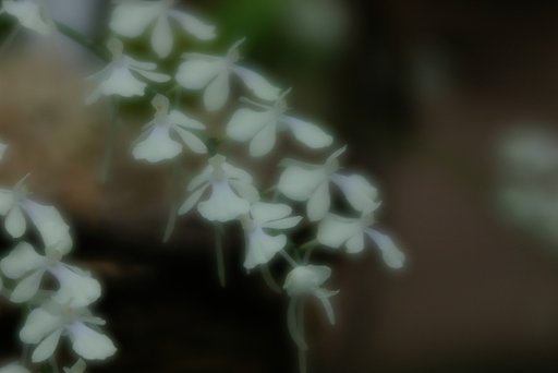 ソフトでラン　3-2