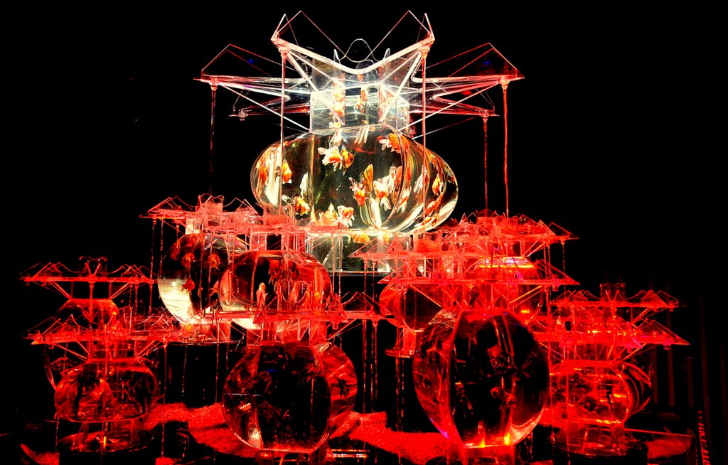 アートアクアリウム２０１３