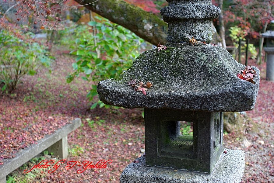 晩秋の石灯篭