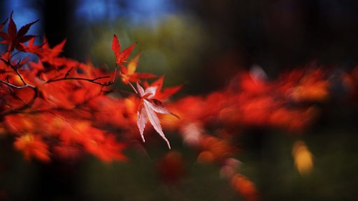 馬事公園にて