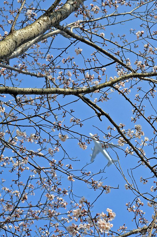 空は待っている