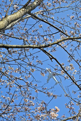 空は待っている