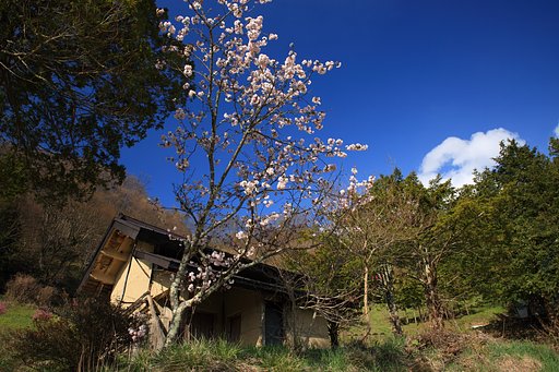 広津の空、高く、蒼く