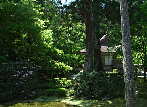 新緑三千院