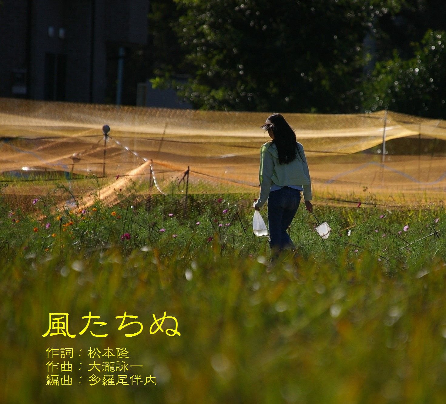 【第2回 この一曲】風たちぬー松田聖子ー