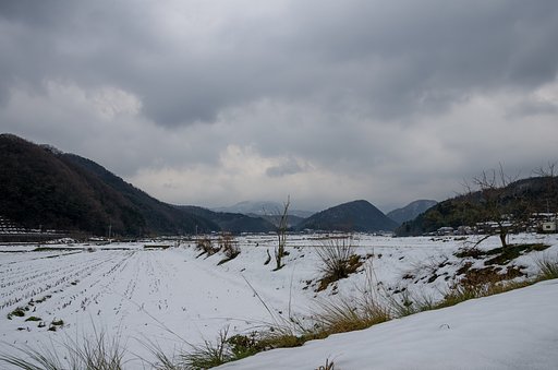 小雨降りです。