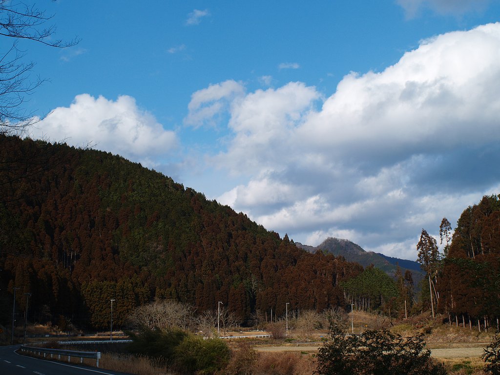 茶色い山