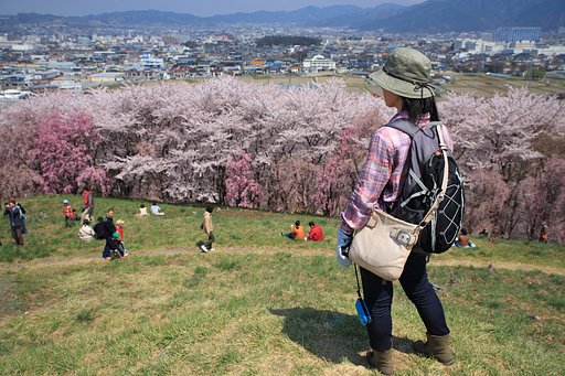 Ｈａｐｐｙ～桜の広野を行く～