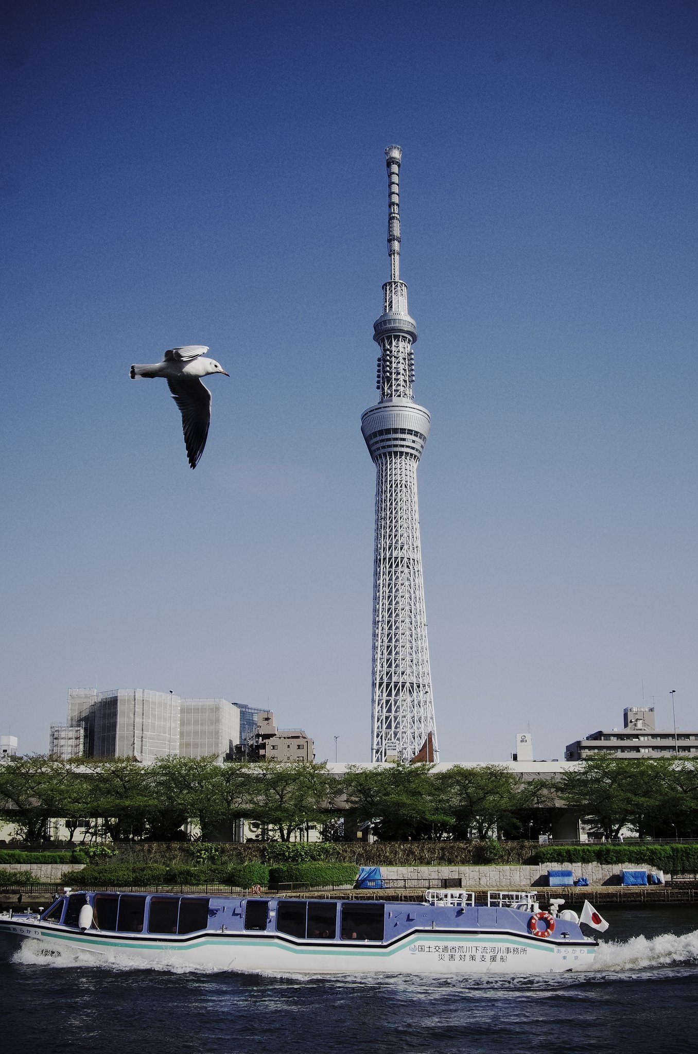 東京スカイツリー