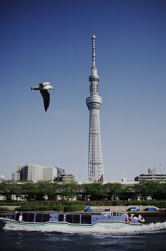 東京スカイツリー