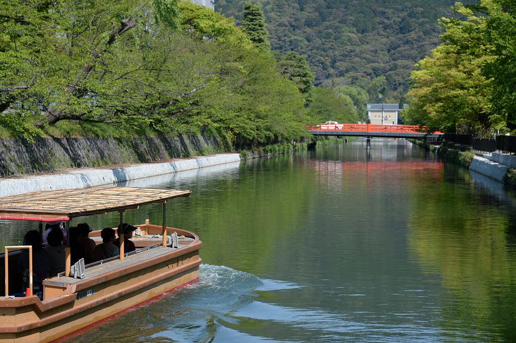 新緑の疎水