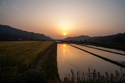 黄砂の夕焼け・・。