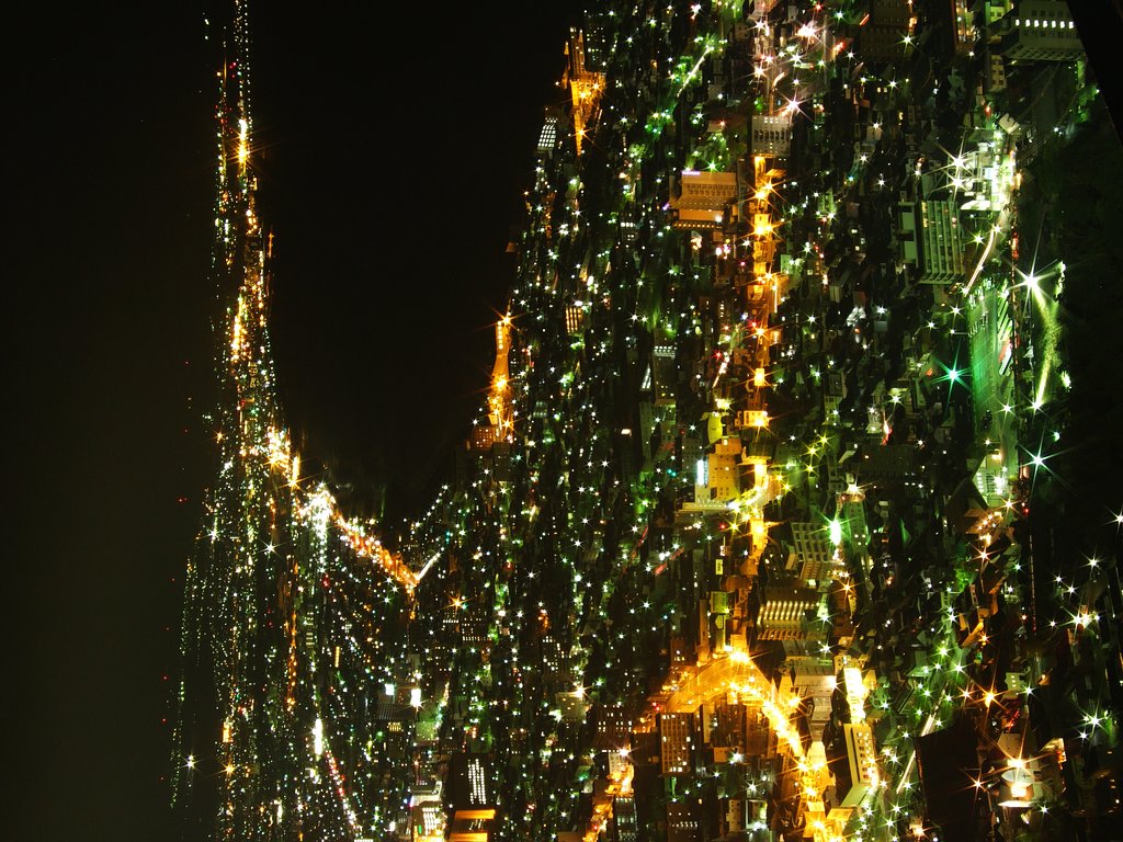 函館夜景２