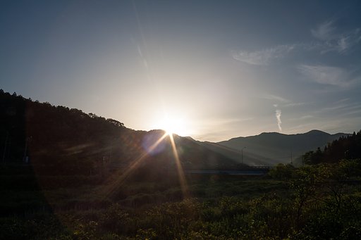 朝日を撮ったの？