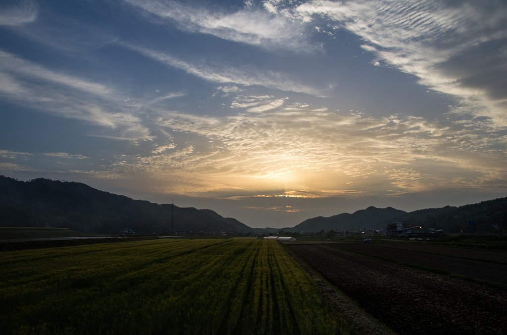 美しい模様の夕焼け。