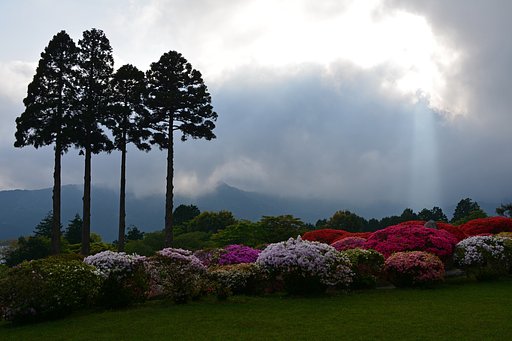 雲湧く