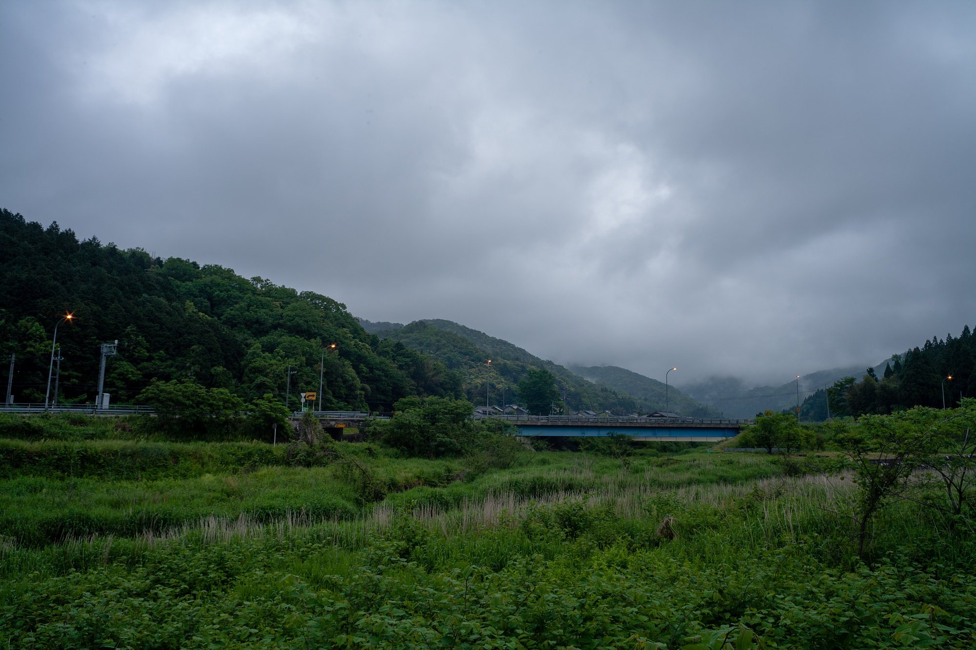 雨上がりの朝!