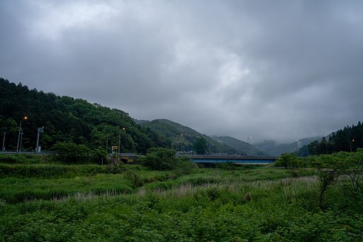 雨上がりの朝!