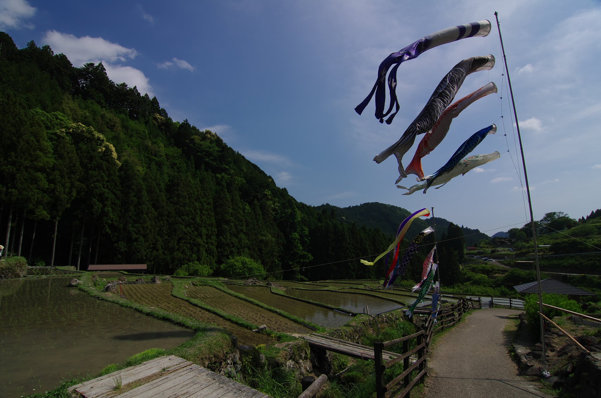 棚田吹きぬく風
