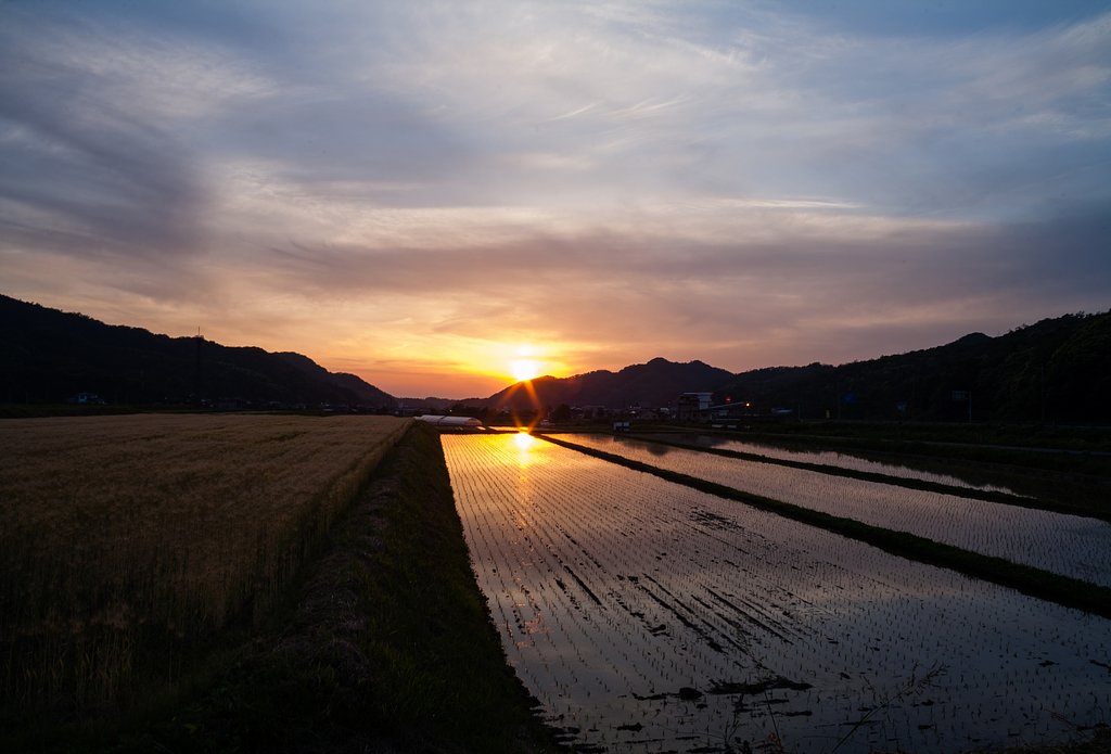 雲の多い夕焼け。