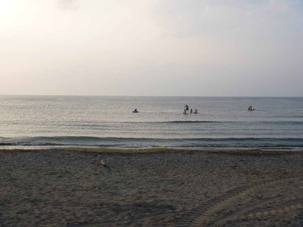 海
