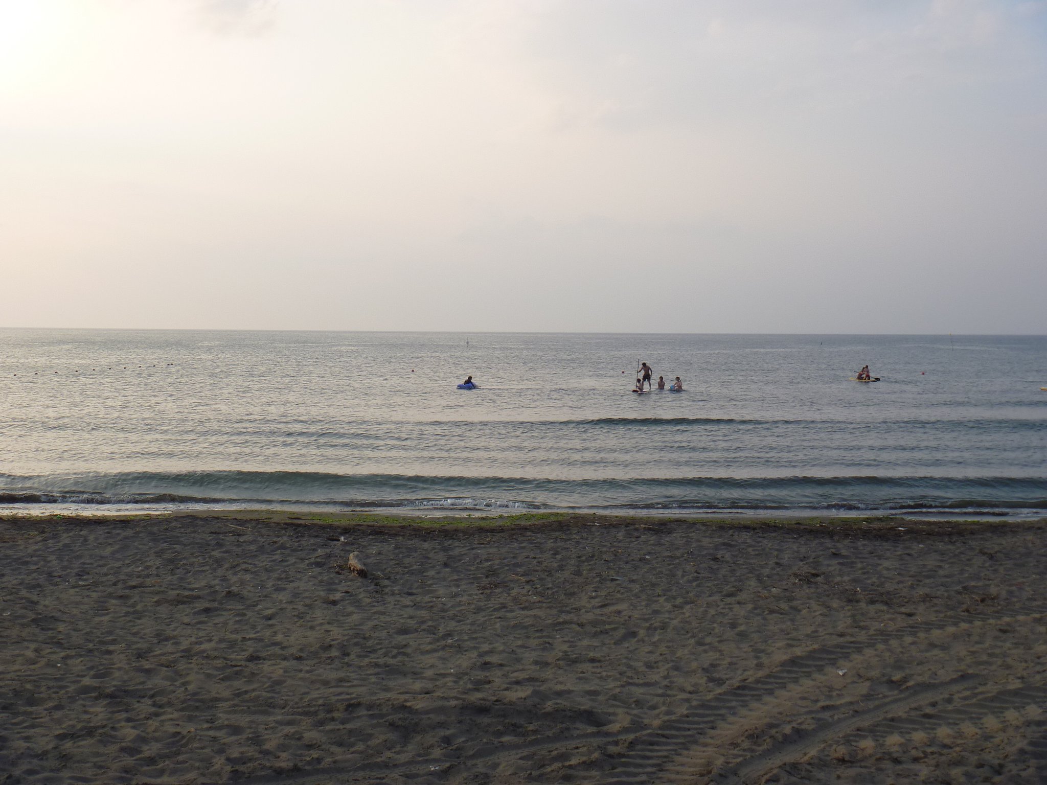 海