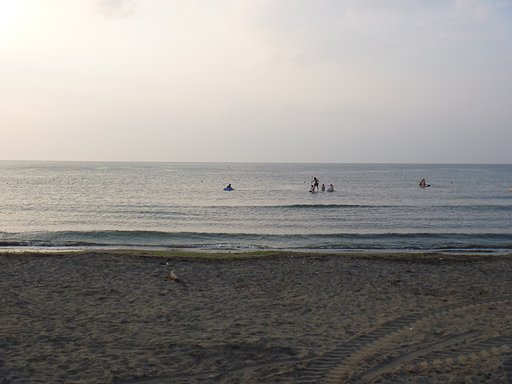 海