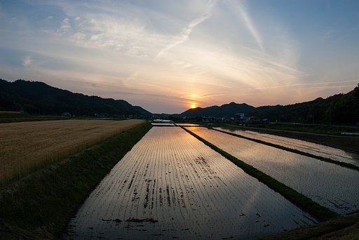 雲の多い夕焼け。
