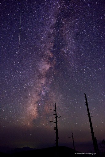 ペルセウス座流星群