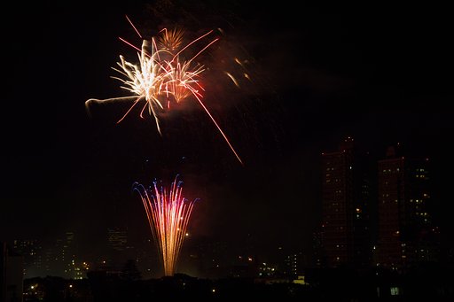 7月20日の写真