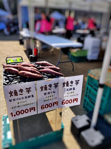 驚きの価格