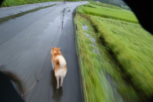大雨降り・・。