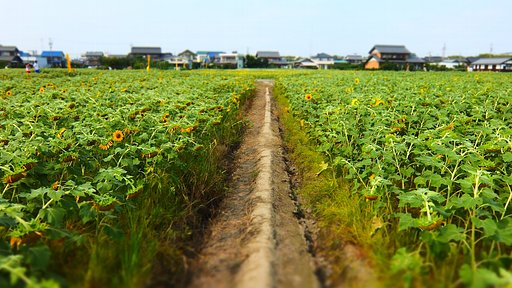 夏の終わりに♪