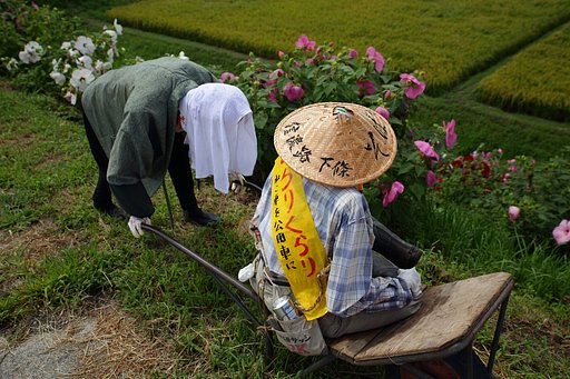 晩夏を眺む