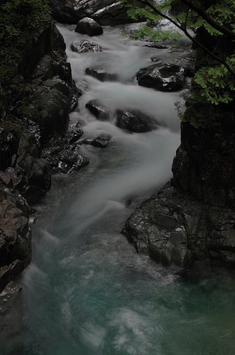 白露の雨・２