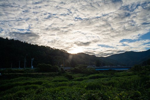 鱗雲の朝。