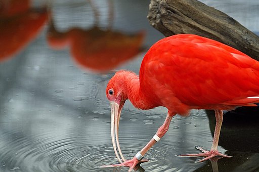 花鳥園・・・３