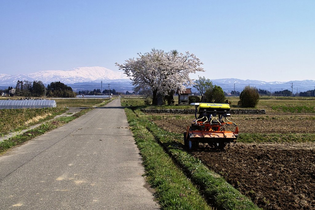 もうすぐ田植え
