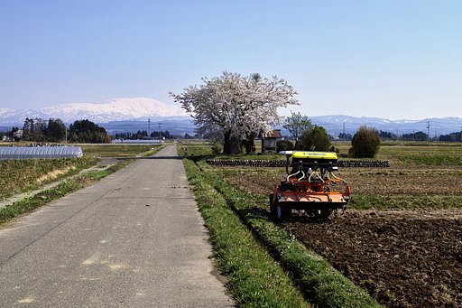 もうすぐ田植え