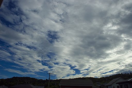 ちょっとご無沙汰でした