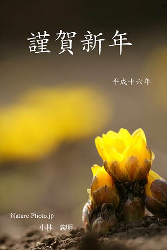 あけましておめでとうございます